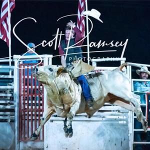 Meet your Posher, Colin